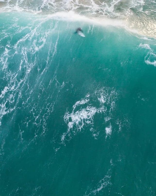 surf.webp
