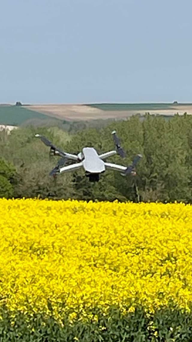 Champ de Colza, survolé pe mon Mavic Air2