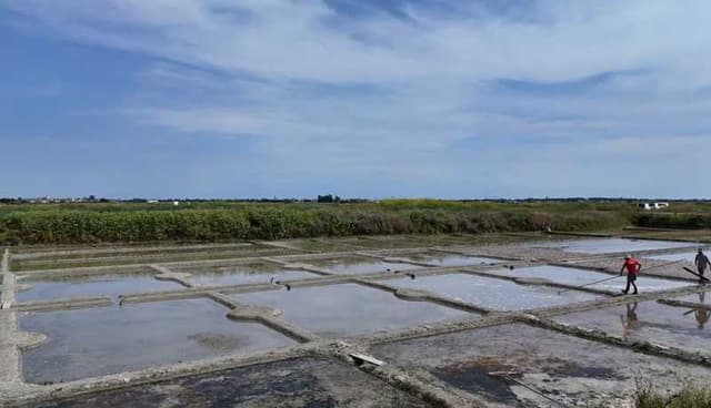Marais salants de Guérande